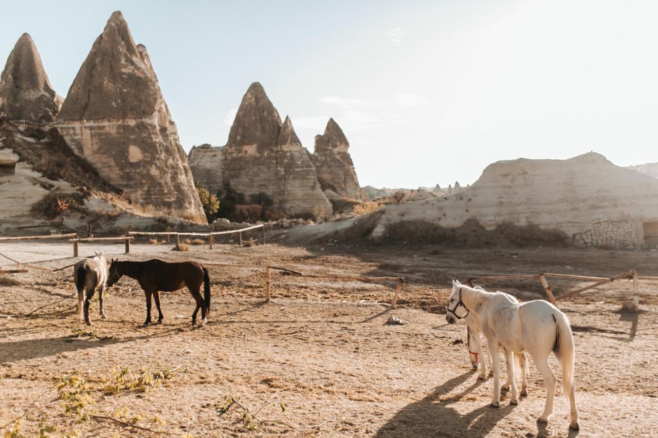 Sandik Cave Suites Nevşehir Ngoại thất bức ảnh