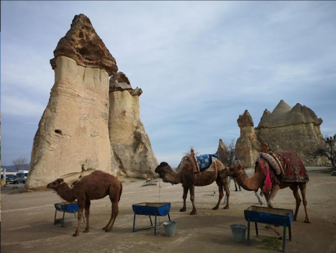 Sandik Cave Suites Nevşehir Ngoại thất bức ảnh
